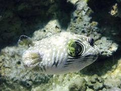 -福州罗源湾海洋世界旅游区