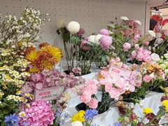 -荷兰花海
