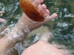 -龙达温泉生态城