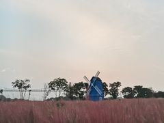 -花博汇(知音花月夜)