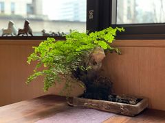 -梅间堂茶馆(绿地缤纷城店)