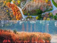 -八大关景区