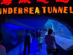 -太平洋海底世界