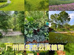 -云溪植物园