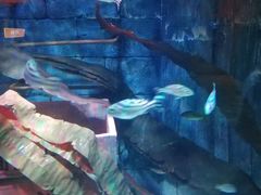 -沈阳海洋探索中心