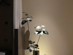 -木兰逸•泰式按摩•头疗•SPA(车公庙店)