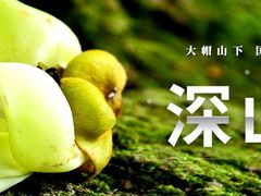 -牛鱼嘴原始生态风景区