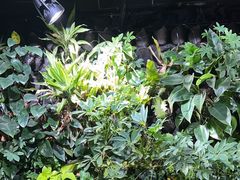 -唱吧麦颂KTV(西单华威潮铺街店)