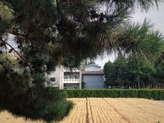 -北京古代建筑博物馆