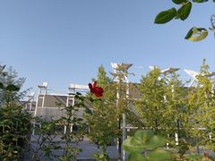 -长江文明馆
