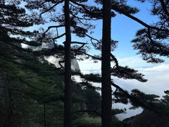 -黄山风景区