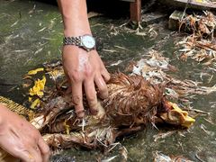 -邓家食府(邓小平故里店)