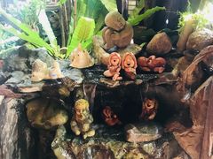 -自然餐厅(Phuket)