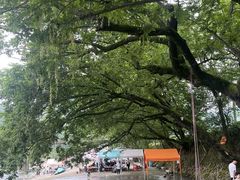 -楠溪江风景名胜区