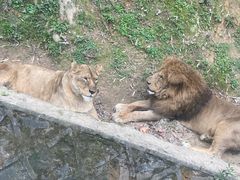-乐和乐都动物主题乐园