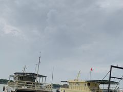 -大湾区中央湿地公园-十九涌