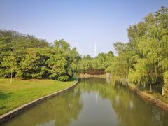 -合肥三国新城遗址公园