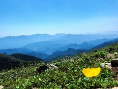 -灵山