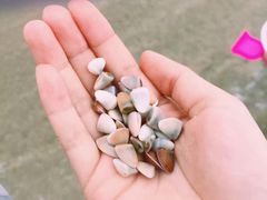 -西涌国际滨海旅游区