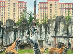 -上海野生动物园