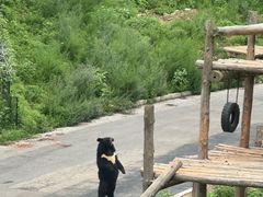 -大连森林动物园