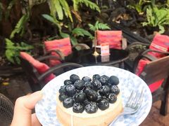 -Fern Forest Cafe