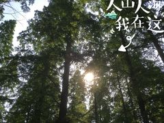 -上海怡沁园度假酒店