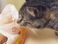 盛京一禾-盛京一禾