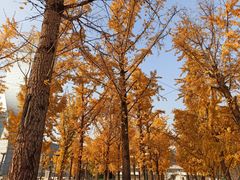 -两江幸福广场