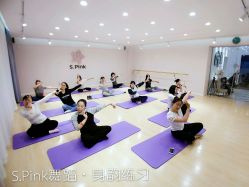 中国舞-SPink舞蹈