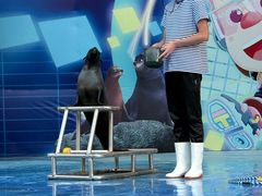 -郑州方特梦幻王国