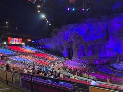 -广州长隆国际大马戏