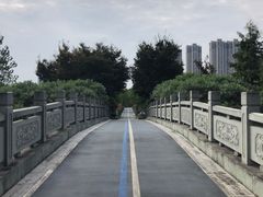 -院士公园