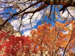 -叠溪松坪沟景区