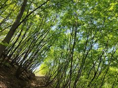 -北京密云天门山风景区
