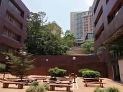 -香港大学