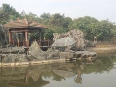 -南宁花花大世界景区