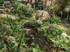 -成都市活水公园