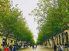 -人民防洪胜利纪念塔