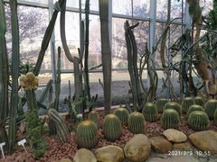 -郑州植物园