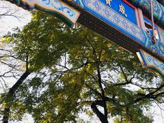 -北京国子监胡同