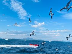 -大连海昌东方水城