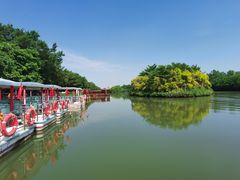 -大湾区中央湿地公园