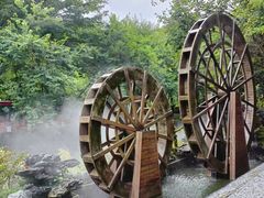 -广州白江湖森林公园