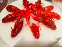 -红盔甲·小龙虾(天钥桥店)