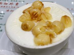 -义顺牛奶公司(新马路老店)