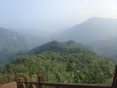 -大岭沟猕猴桃谷风景区