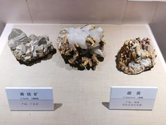 -大连自然博物馆
