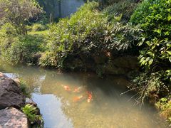 -中国茶叶博物馆(双峰馆区)