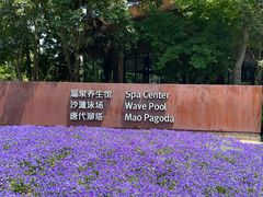 -太阳岛旅游度假区